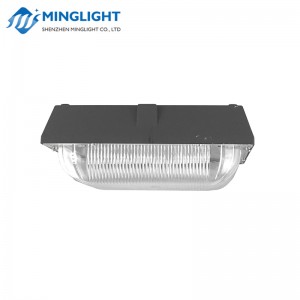 LED Canopy Light CNPA 100W