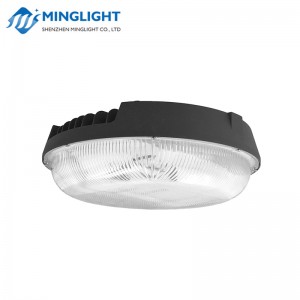 LED Canopy Light CNPB 75W