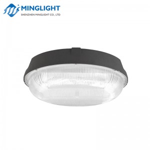 LED Canopy Light CNPB 100W